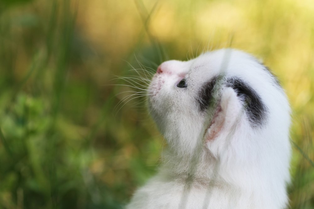 Photograph by Анна