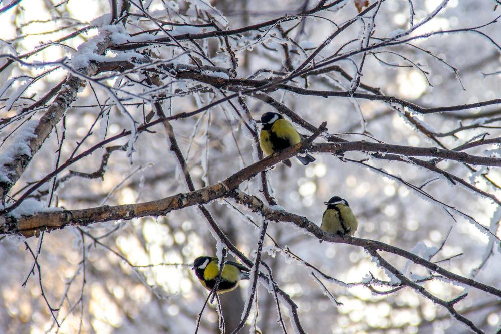 Photograph by Вадим Басов