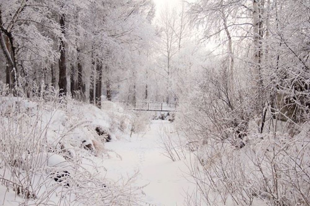 Photograph by Вадим Басов