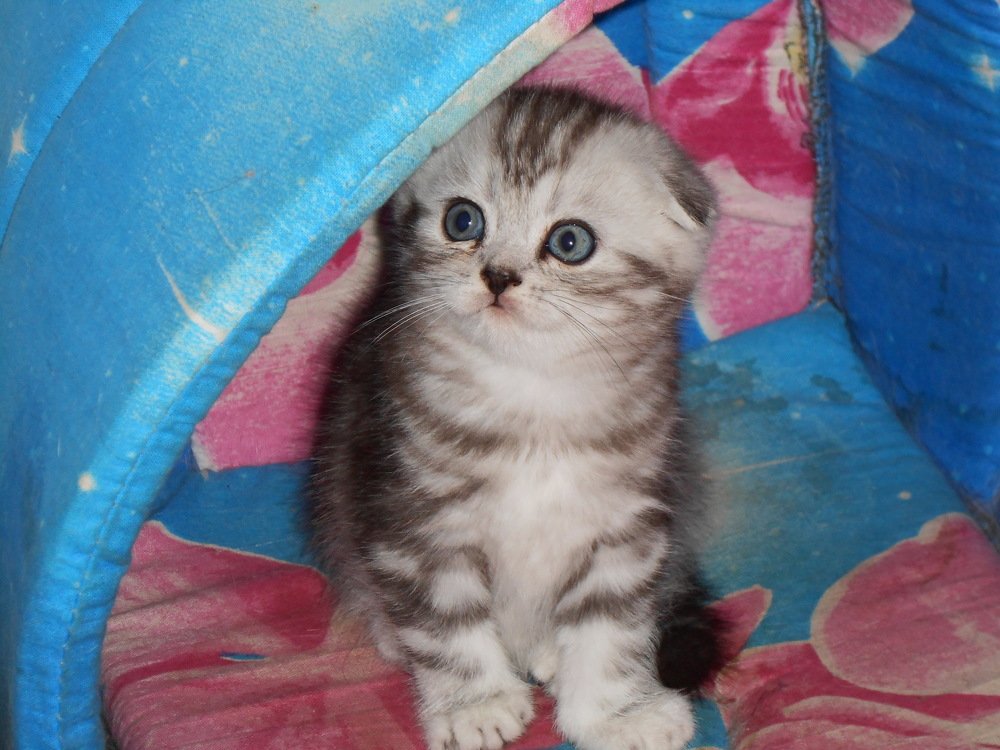 Photograph by Ирина Антонова