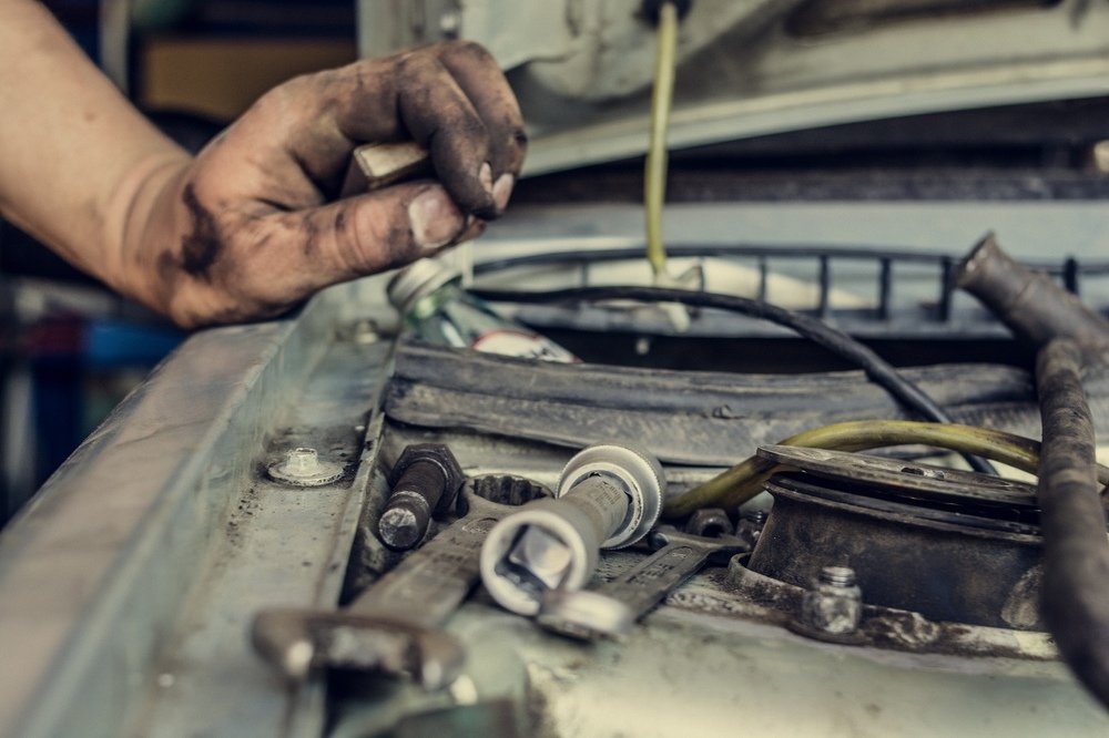 Photograph by Алёна Бушвехтерс