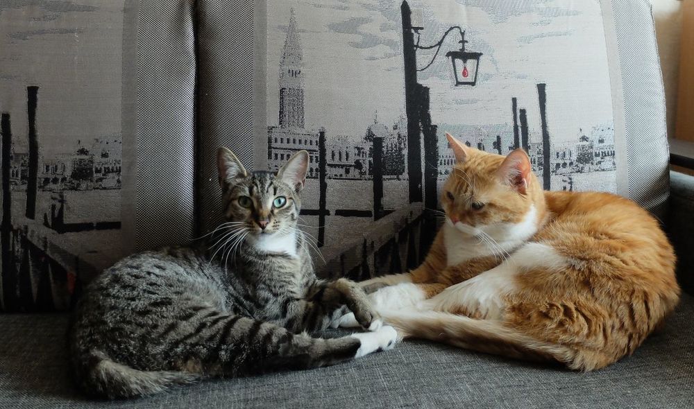 Photograph by Ираида Стародубцева