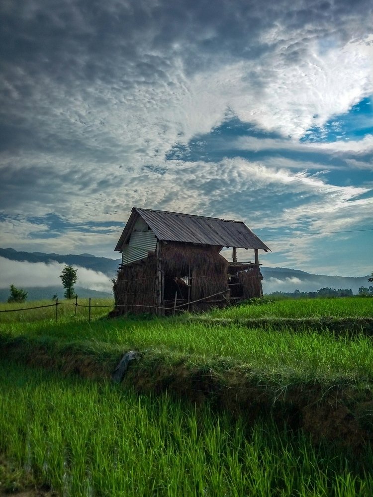 Фотография автора Rudra Prasad Dhungana