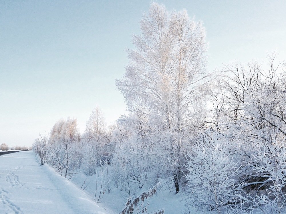 Photograph by Ирина Тимонина