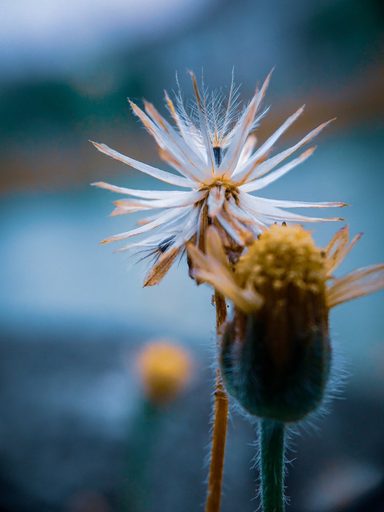 Photograph by Muhammad Aminulloh