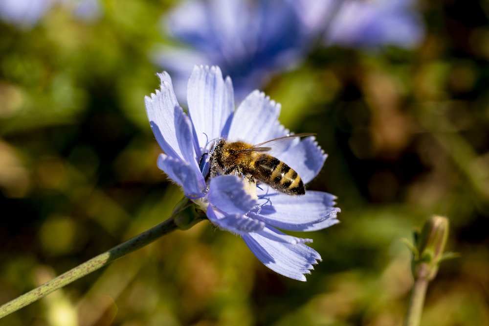 Photograph by Валерий Лейко