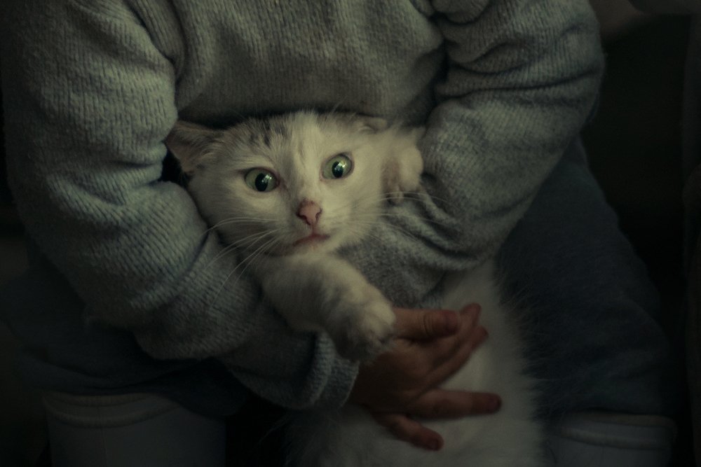 Photograph by Елена Миронова