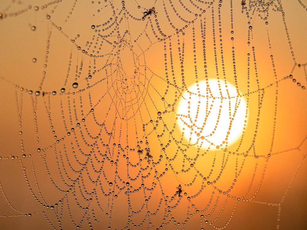 Photograph by Марина Брыдня