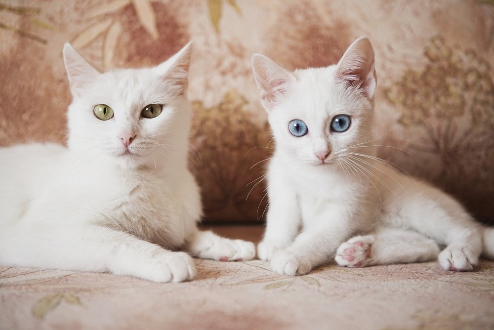 Photograph by Ксения Щербакова