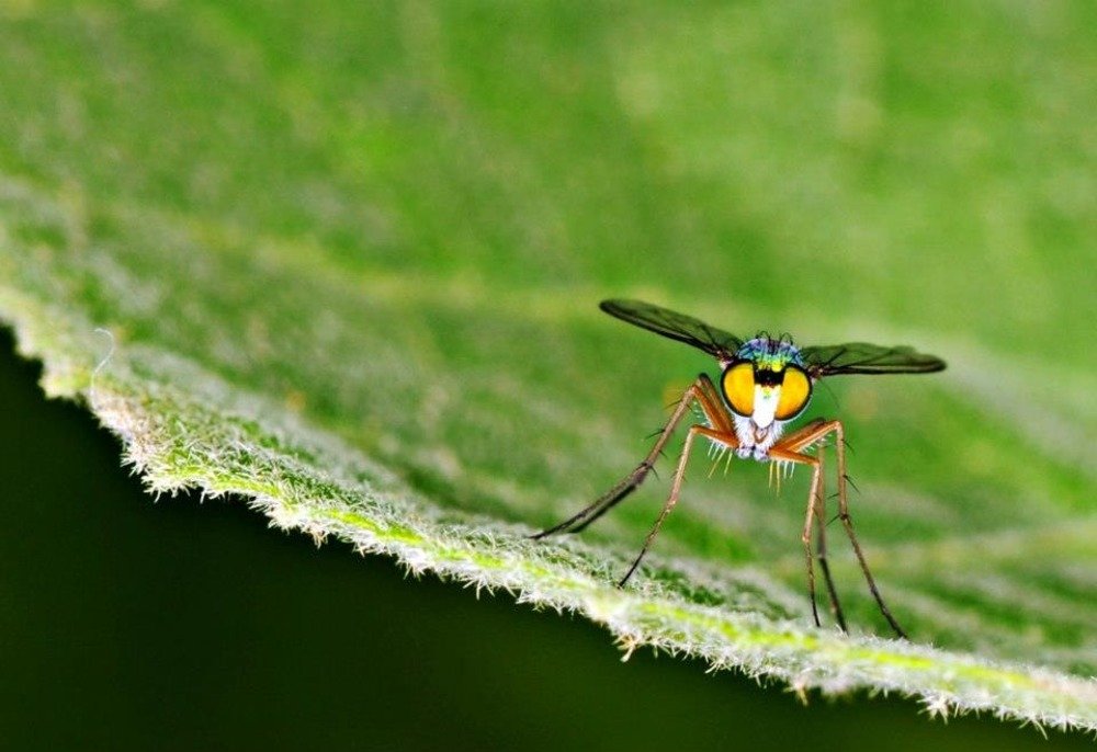 Photograph by Preet saluja