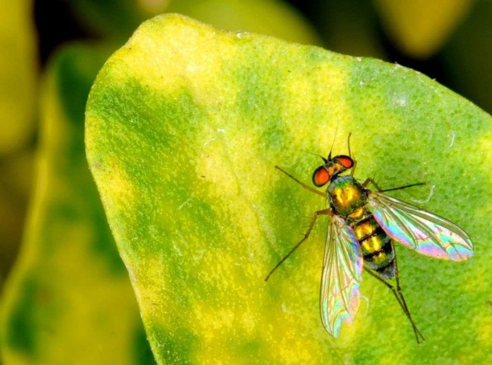 Photograph by Preet saluja