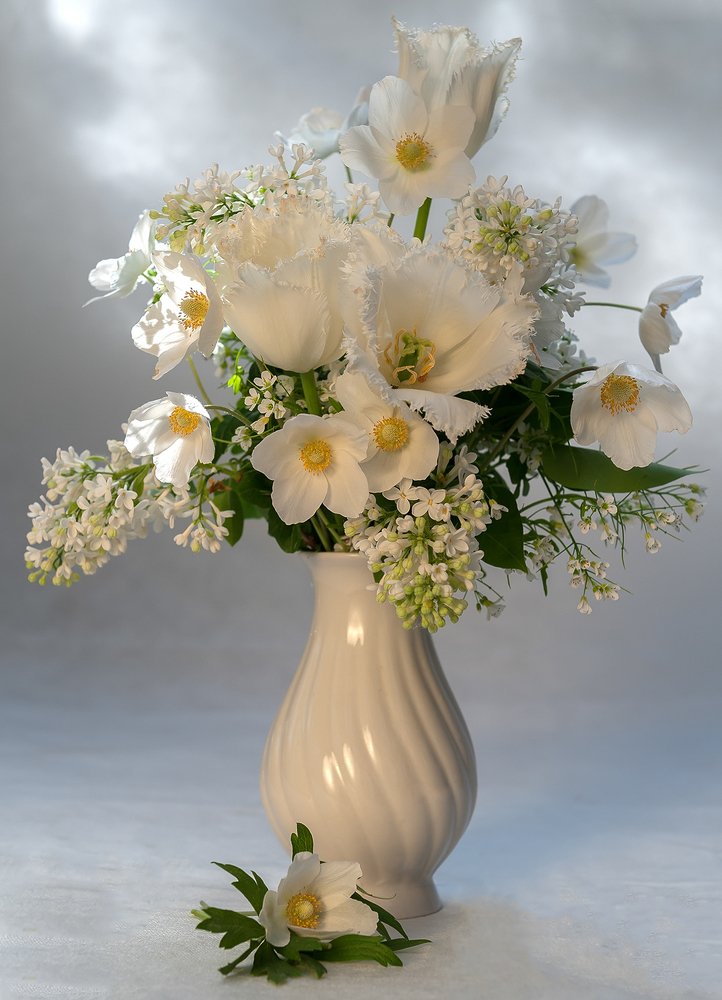 Photograph by Ольга Дядченко