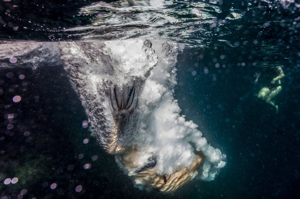 Photograph by Валерий Лейко