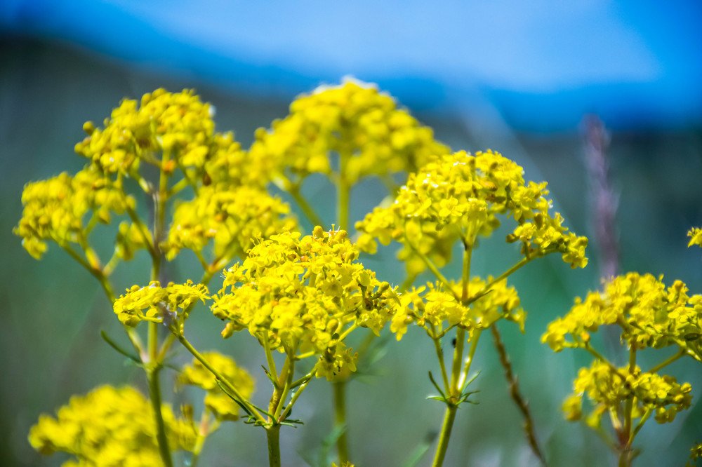 Photograph by Елена Прохорова