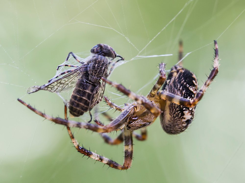 Фотография автора Людмила Прокофьева