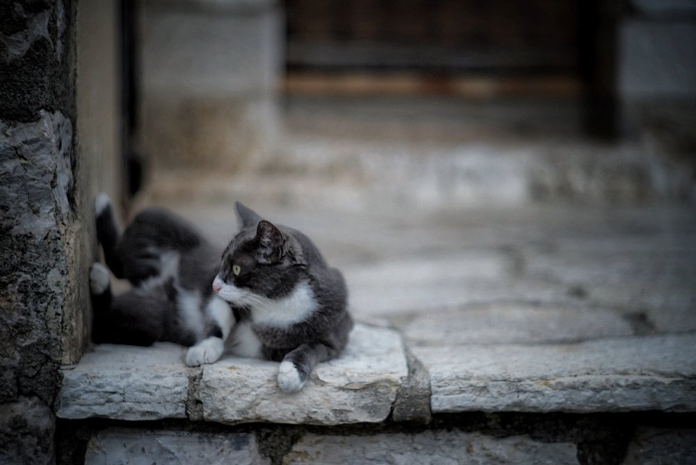 Photograph by Сергей Рудницкий