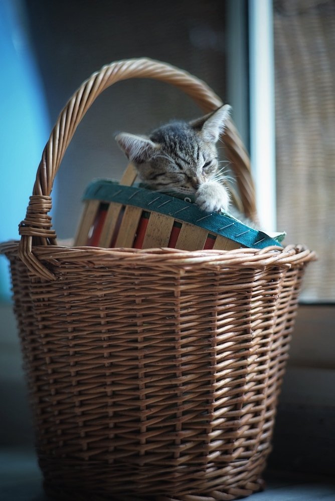 Photograph by Сергей Рудницкий