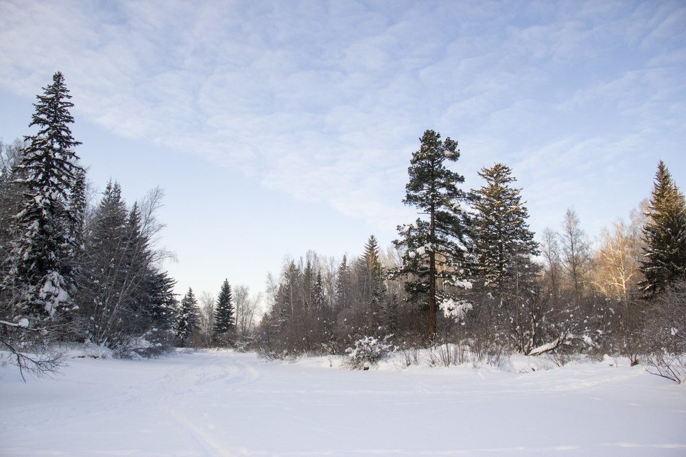 Photograph by Вадим Басов