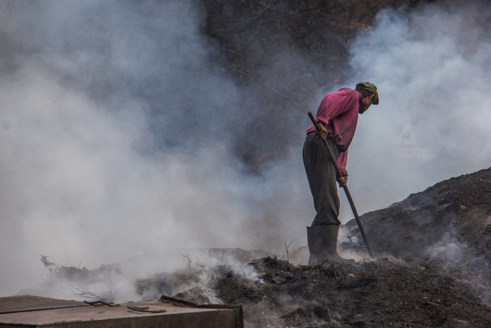 Фотография автора Comșa Bogdan