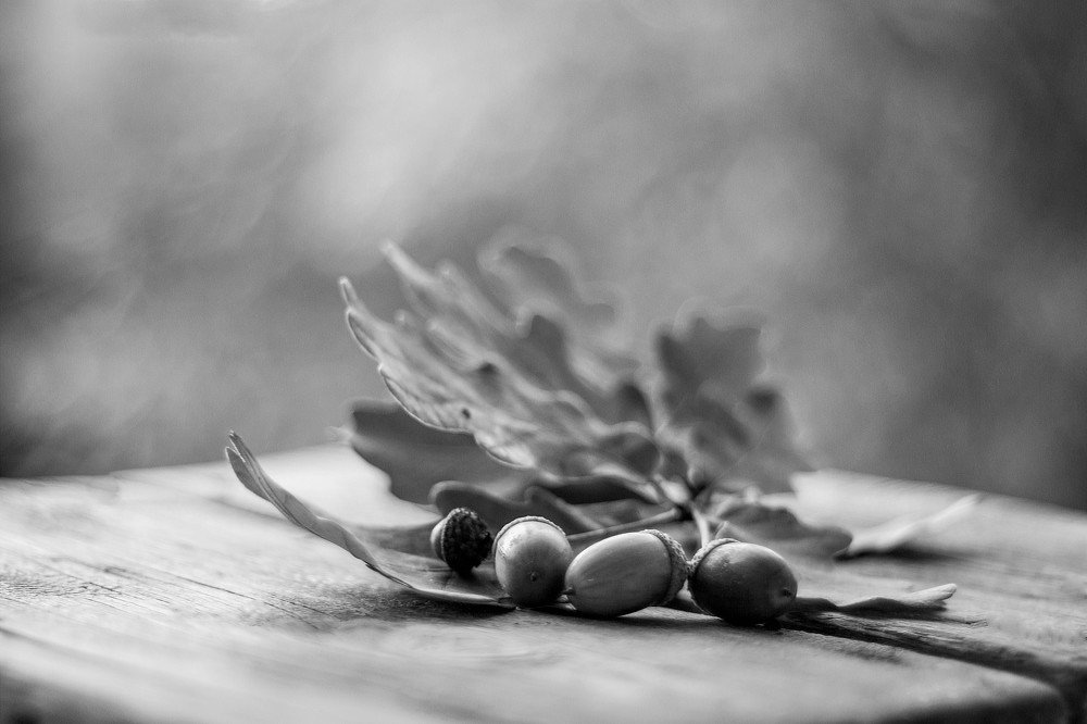 Photograph by Александра Шайдурова