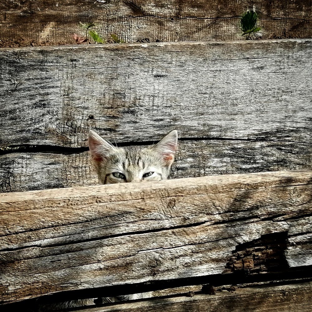 Маскировка