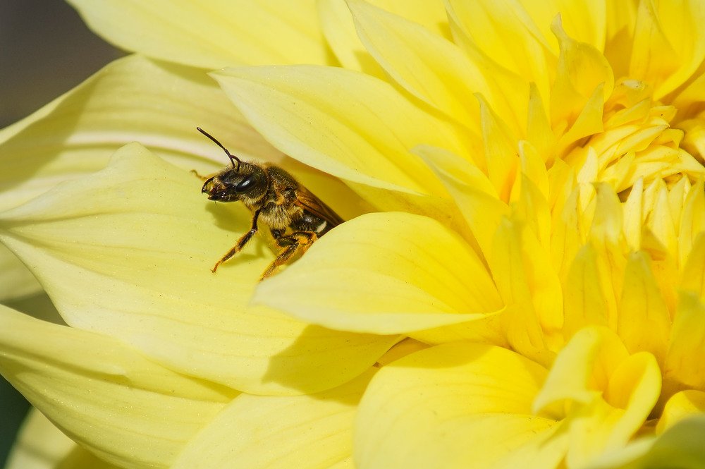 Photograph by Slesareva Nina