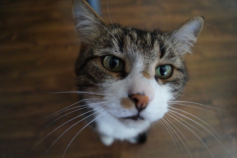 Photograph by Анна