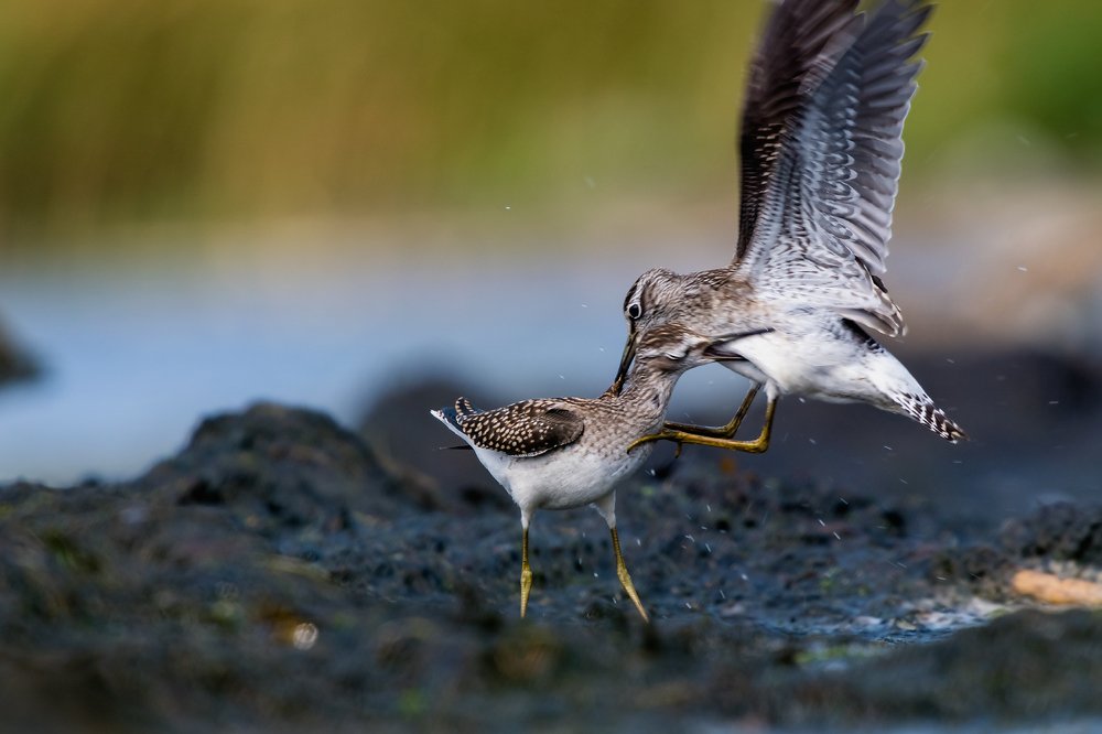 Photograph by Александр Абросимов