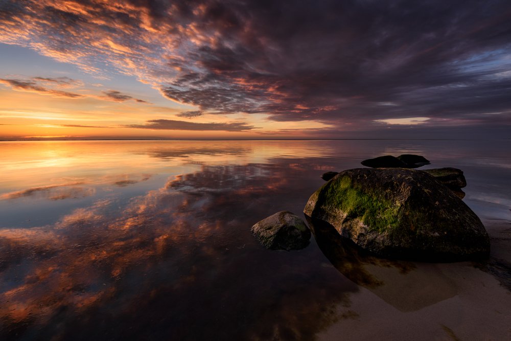 Photograph by Patryk Janota