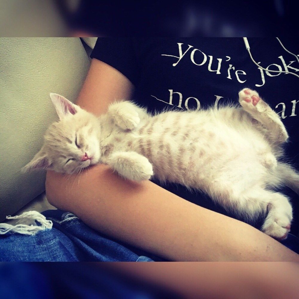 Photograph by Елизавета Данилова