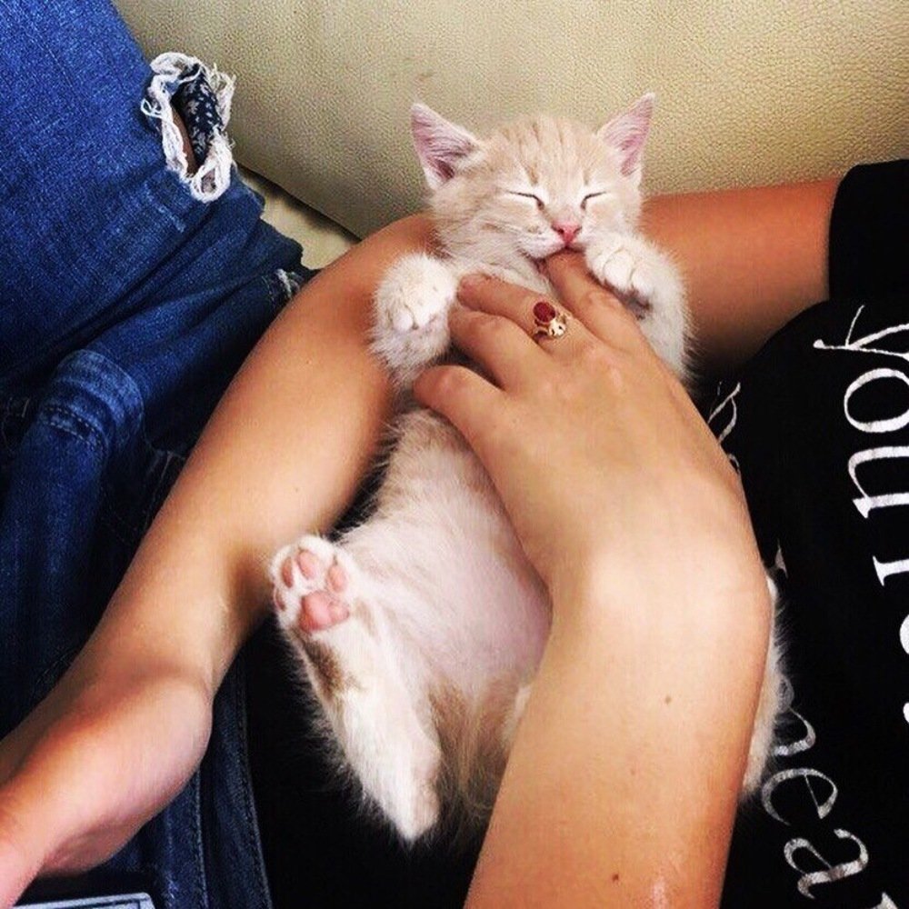 Photograph by Елизавета Данилова