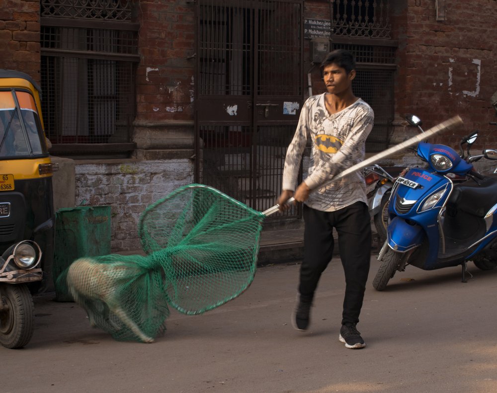 Photograph by Tiwari Rajat