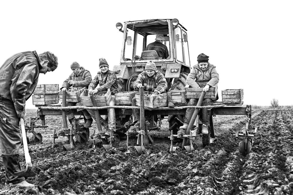 Photograph by Оксана Носкова