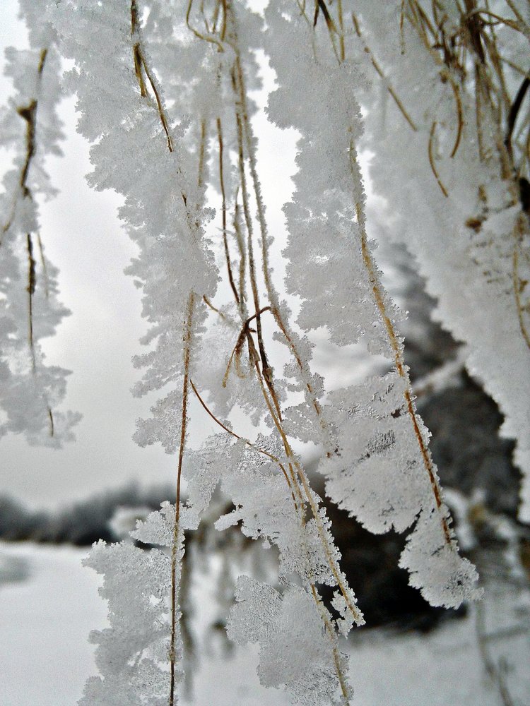 Photograph by Татьяна Королёва