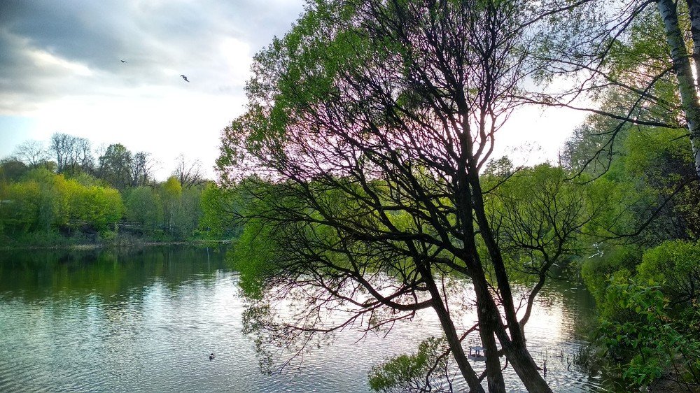 Photograph by Юлия Анисимова