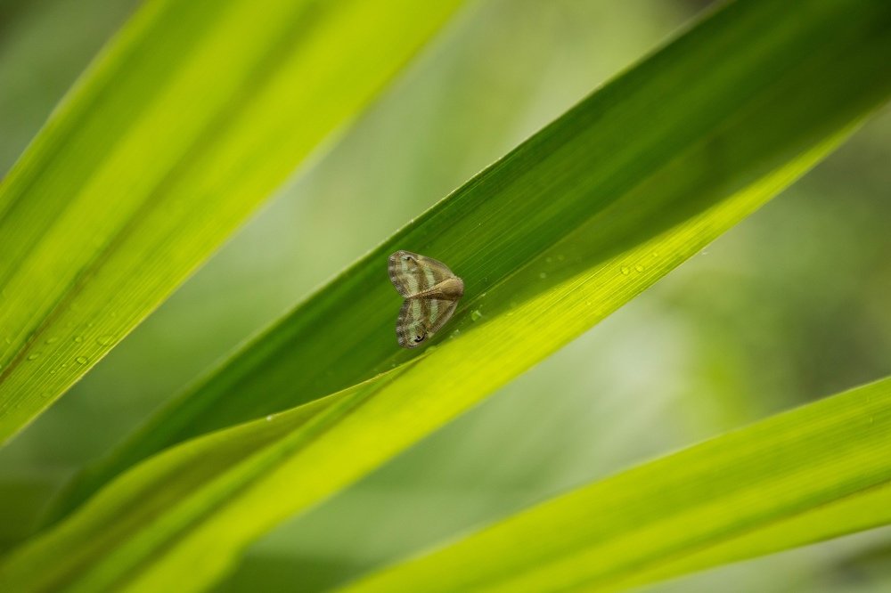 Photograph by Елена Терновая