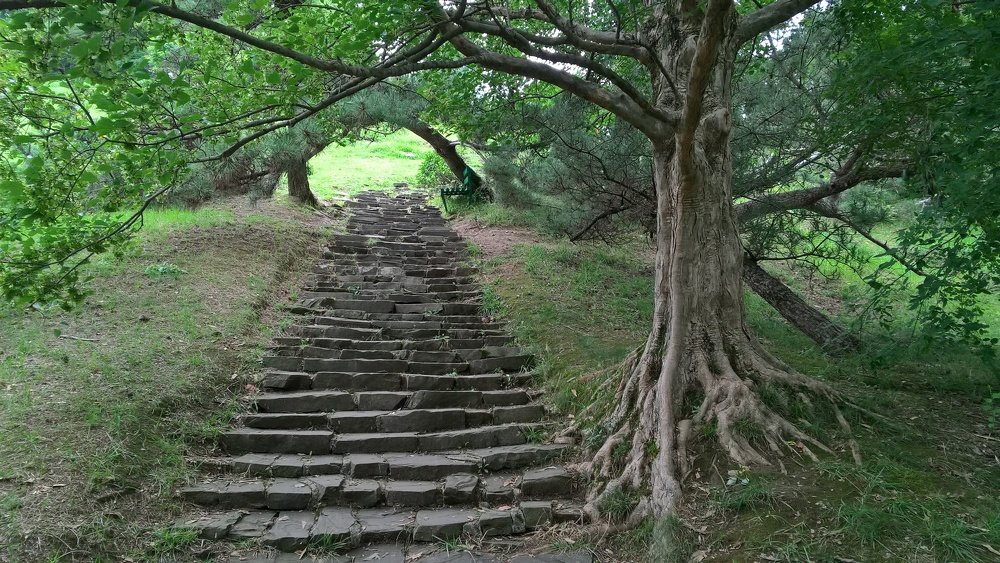 Photograph by Елена Терновая