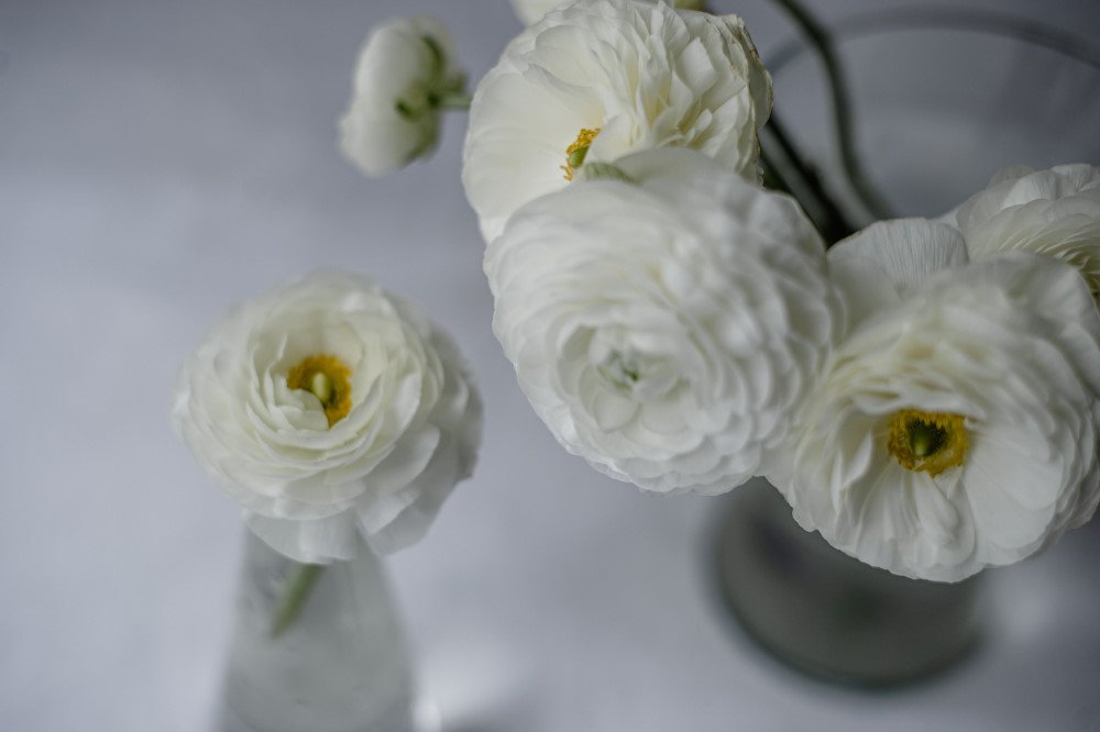 Photograph by Екатерина Корчик