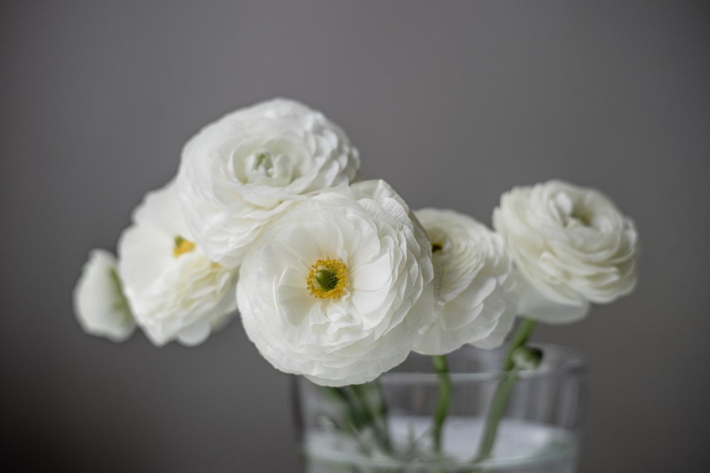 Photograph by Екатерина Корчик