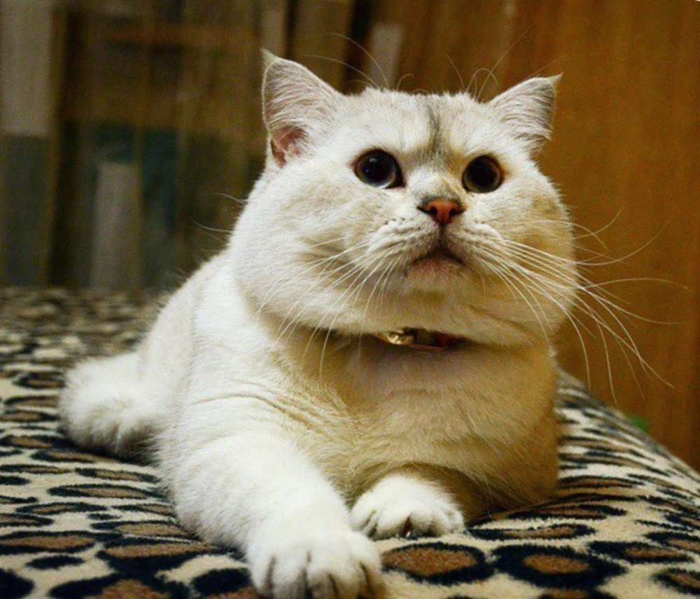 Photograph by Елизавета Данилова