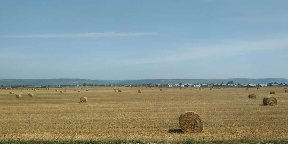 Photograph by Sofya Seredkina