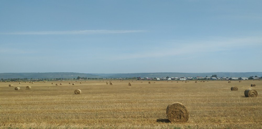 Photograph by Sofya Seredkina