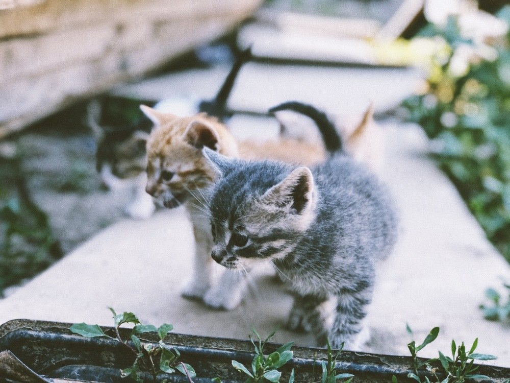 Photograph by Сергей Дубровский