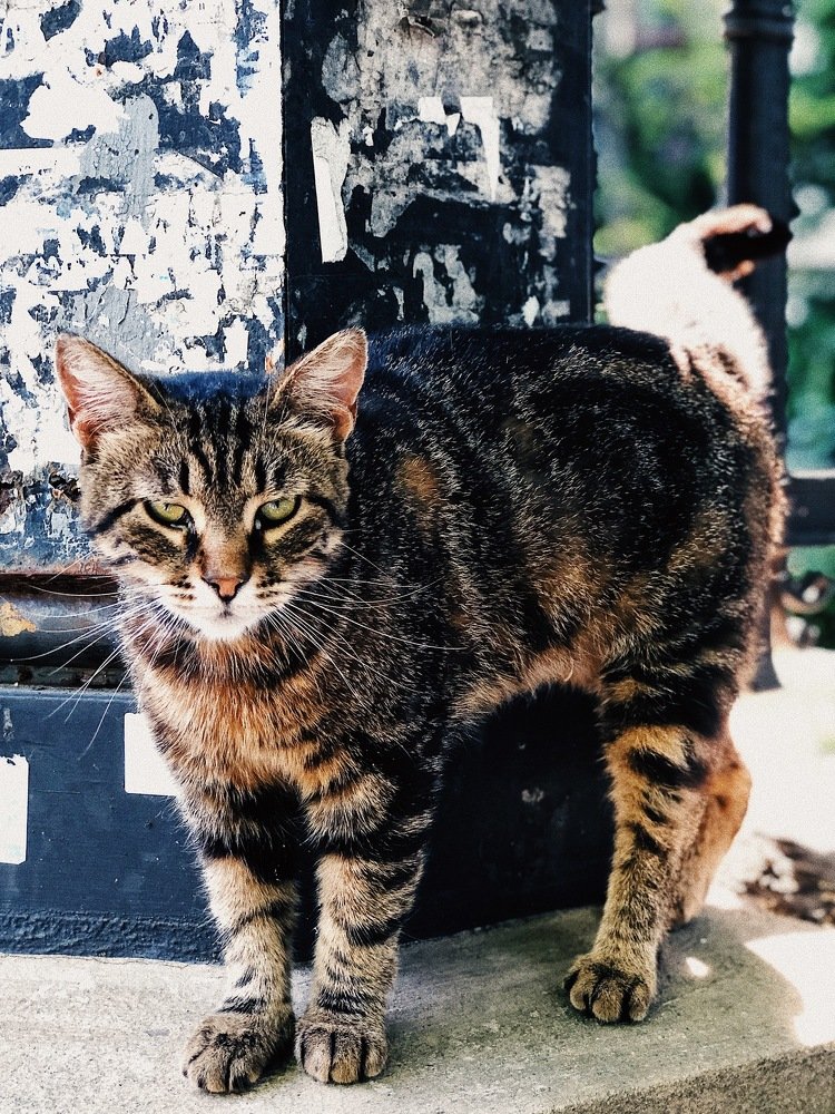 Photograph by Сергей Дубровский