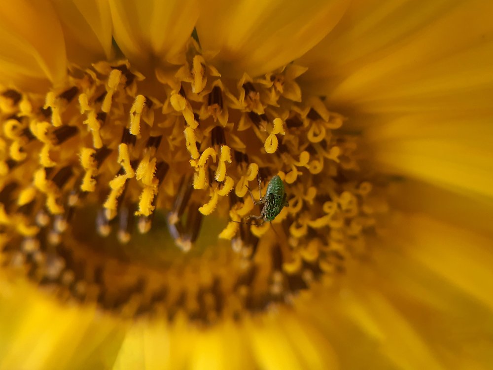 Photograph by Дарья Богославская