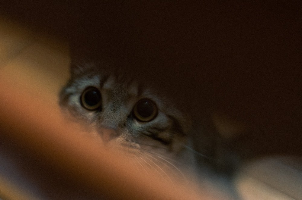 Photograph by Игорь Селин