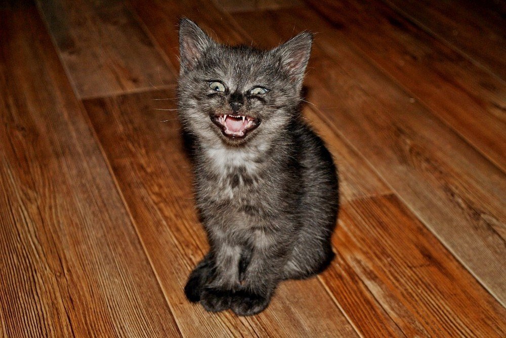 Photograph by Елена Хейликова