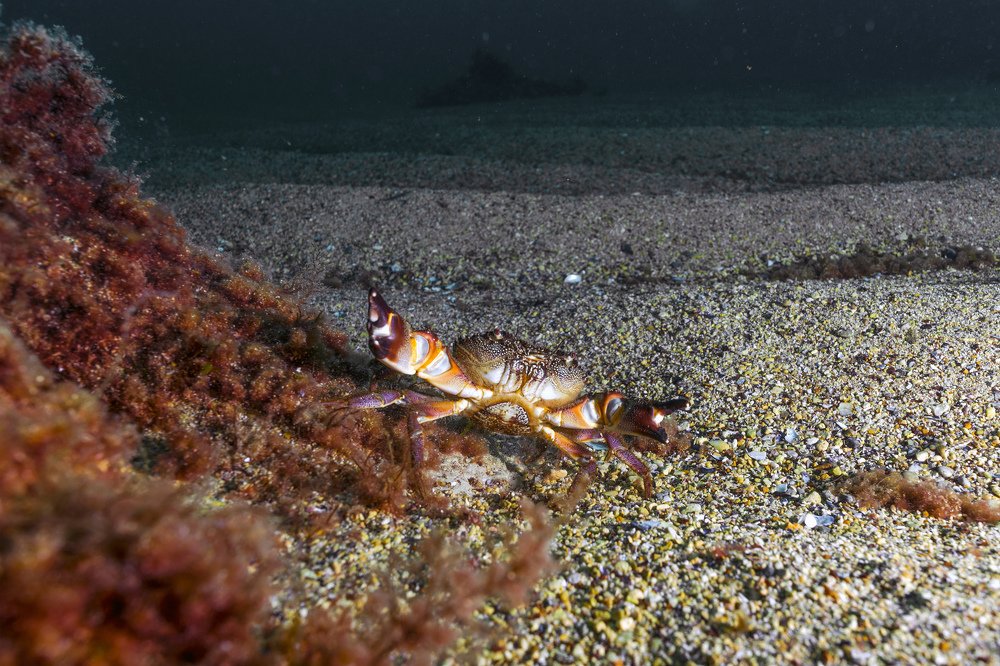 Photograph by Валерий Лейко