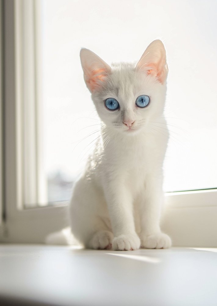 Photograph by Ксения Щербакова