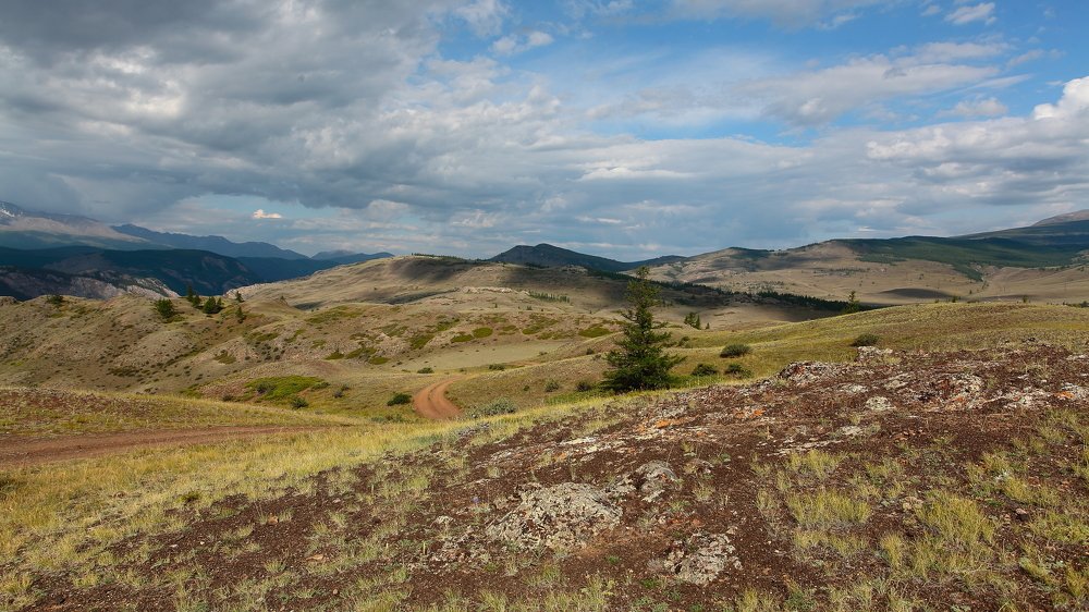 Photograph by Александр Полюдов